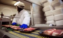 A man wearing safety goggles, face mask, and PPE handling meat moving along a conveyor belt in a meat processing facility.