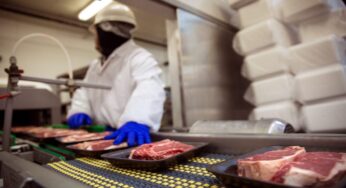 How Gases Can Impact Electrical Safety in Food Processing