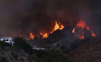 Safety in Pacific Palisades