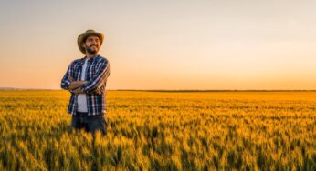 4 Important Safety Considerations for New Farmers