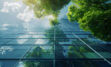 A worm's eye view of a skyscraper with a vibrant green tree growing beside it. The tree's leaves reflect in the windows.