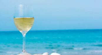 Where To Store Wine in the Summer When You Don’t Have AC