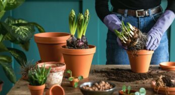 Interesting Hobbies That You Should Know About