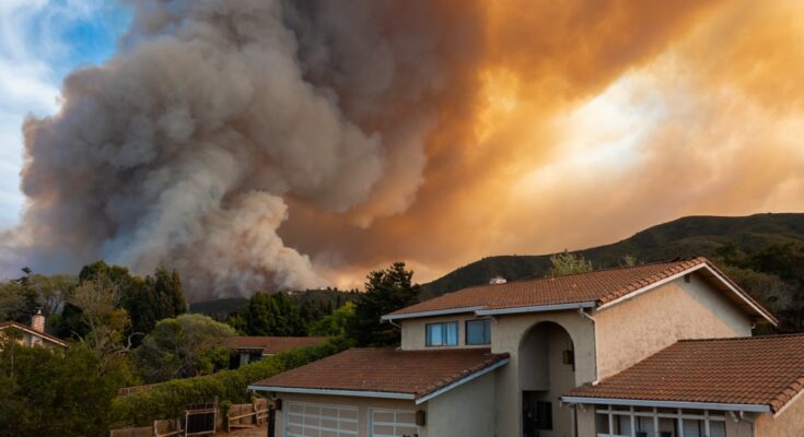 The evening sky fills with smoke above a forest wildfire, breaking out behind a residential neighborhood.