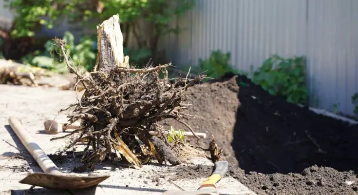 Near an area with dirt, a dead tree lays on its side with the roots exposed. A shovel and axe lay nearby.