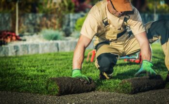 A man wearing overalls and a hard hat uses his gloved hands to roll out a strip of sod in a grassy yard.