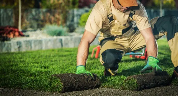 A man wearing overalls and a hard hat uses his gloved hands to roll out a strip of sod in a grassy yard.