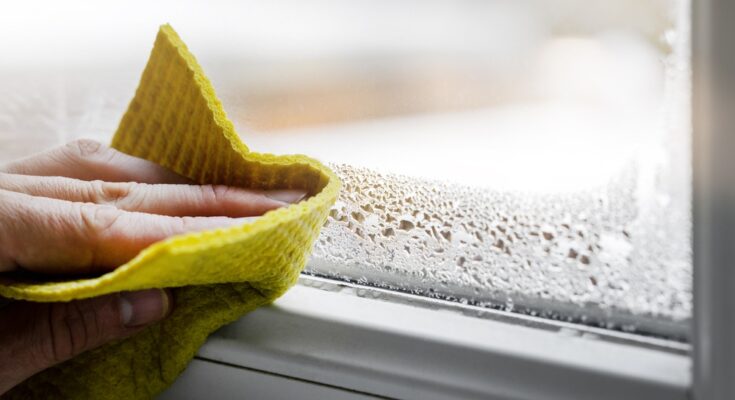 A close-up of a hand holding a sponge, wiping off water condensation from the plastic window glass in the room.