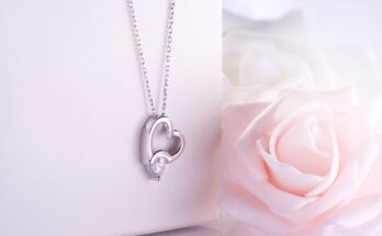 A silver necklace with a heart-shaped pendant and a diamond hangs over a jewelry box. A pink rose is beside the box.