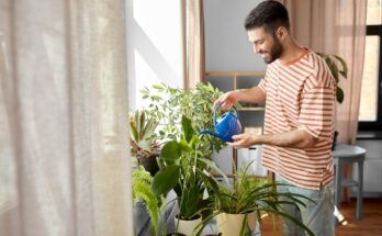 A brown-haired man in a striped T-shirt uses a blue watering can to water a variety of potted indoor plants.