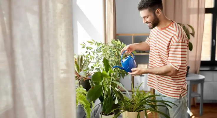A brown-haired man in a striped T-shirt uses a blue watering can to water a variety of potted indoor plants.