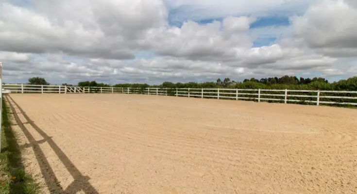 An empty horse arena contains a sandy floor and a white perimeter fence. Large bushes appear outside the fence.