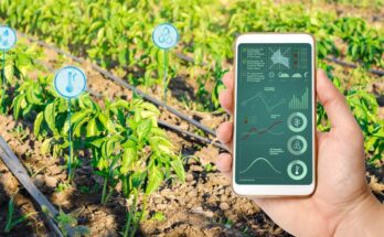 A hand holding a phone with graphs and metrics on it, corresponding with symbols over a farm field in the background.