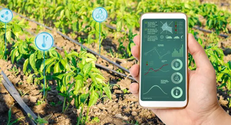 A hand holding a phone with graphs and metrics on it, corresponding with symbols over a farm field in the background.