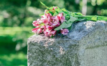 A close-up of a stone headstone with pink flowers resting on top of it at a cemetery during the day.