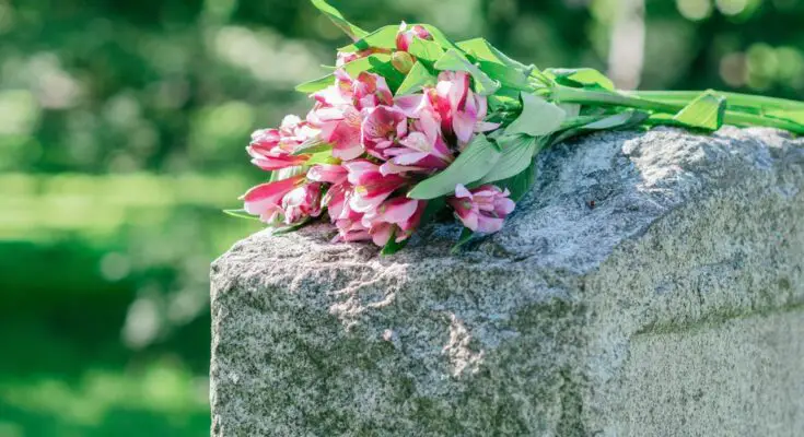 A close-up of a stone headstone with pink flowers resting on top of it at a cemetery during the day.