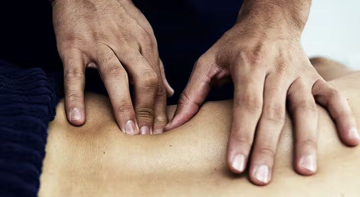 Hands-On Osteopathic Manipulation Therapy