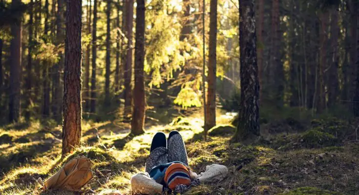 A person wearing a beanie and warm clothing is lying on their back with their hands under their head in a forest.