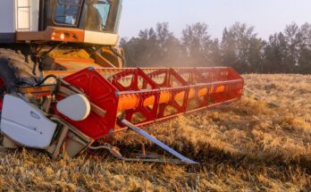 A close-up of teh header of a red harvest combine harvesting wheat in a field at dawn with trees in the background.