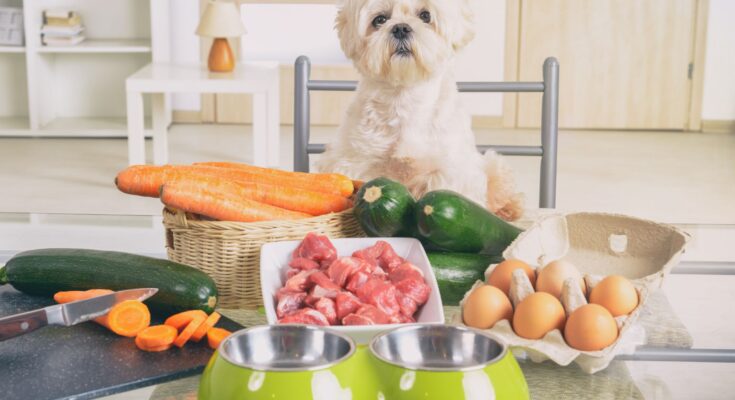 Fresh Natural Food for Puppies, Adults, and Seniors