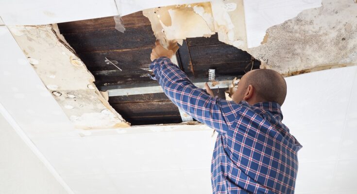 A man in a plaid shirt stands on a ladder while inspecting a water-damaged ceiling with exposed beams and discoloration.