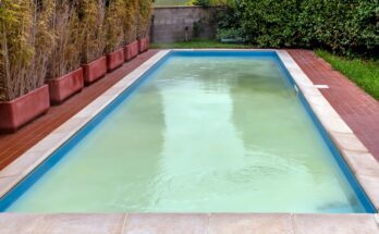 A rectangular pool with green, murky water, surrounded by bamboo in planters, a red brick patio, and dense green hedges.