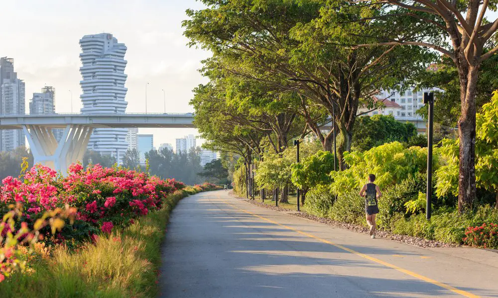 A person jogs along a tree-lined city path with blooming flowers and modern buildings in the background.