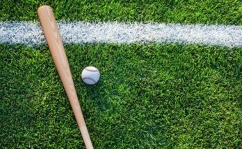 A bat and ball on vibrant green grass, framed by a crisp white boundary line for a classic field vibe.