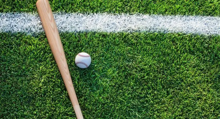 A bat and ball on vibrant green grass, framed by a crisp white boundary line for a classic field vibe.