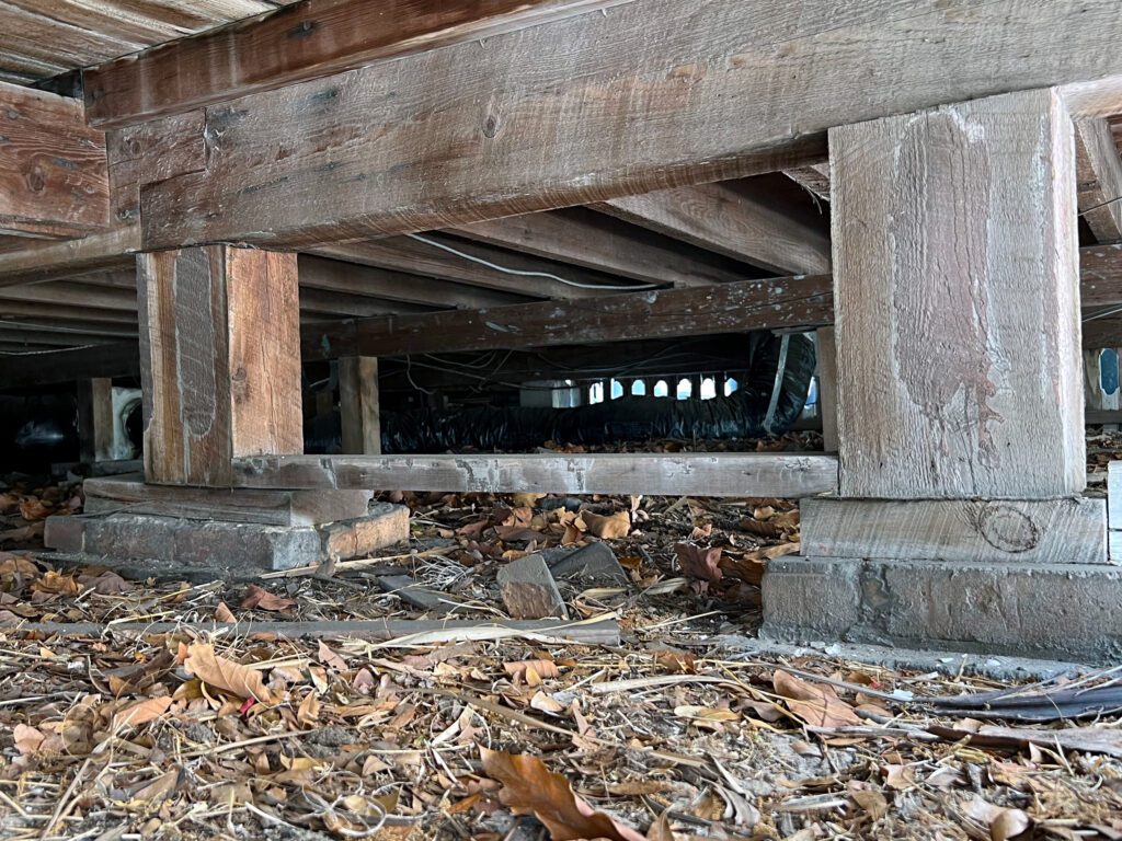 A dark crawlspace under the wooden floor of a home during the daytime. The crawlspace is full of leaves and dirt.
